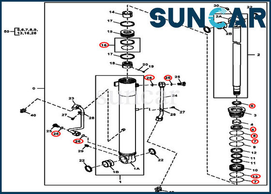 Reparación Kit Replacement Kits For John Deere 60D del sello del cilindro de 4687559 auges