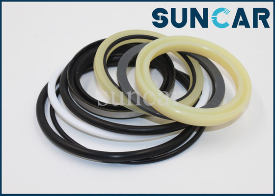 Equipo hidráulico del lacre de Kit SUNCARVO.L.VO EC55B EC55C EC55D del sello del cilindro del auge de VOE14589148 VOE 14589148